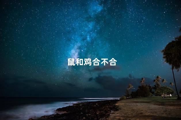 鼠和鸡合不合