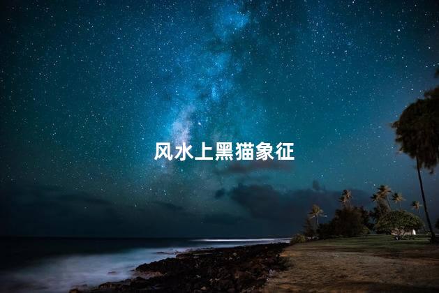 风水上黑猫象征