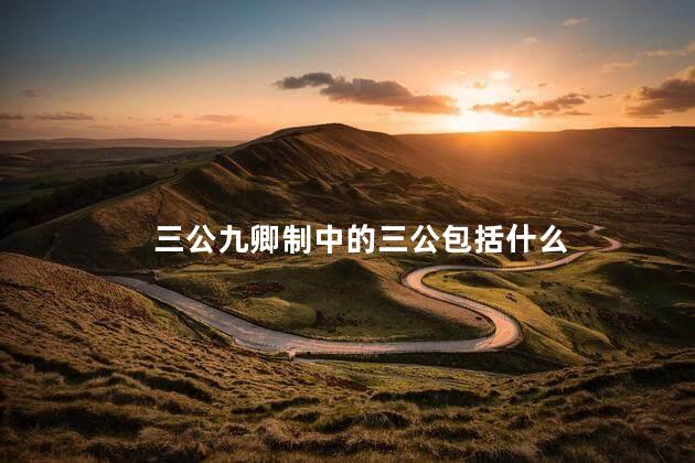 三公九卿制中的三公包括什么