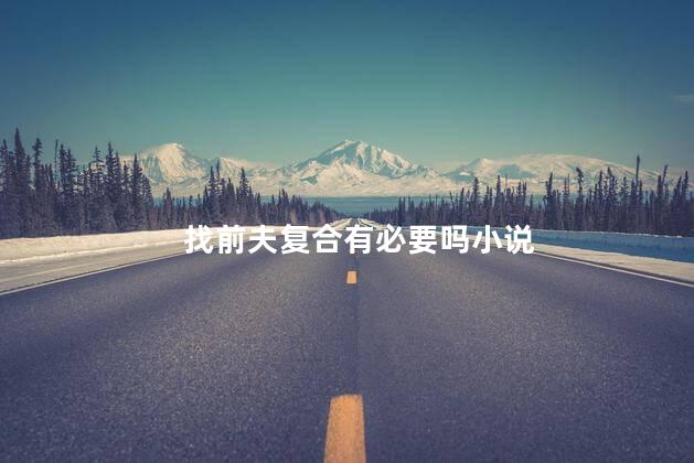 找前夫复合有必要吗小说