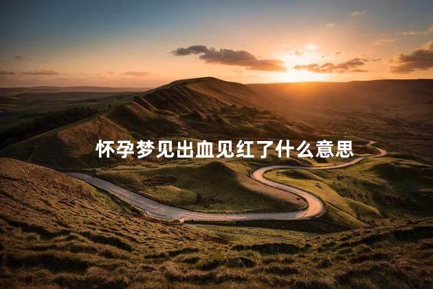 怀孕梦见出血见红了什么意思