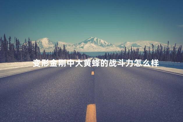 变形金刚中大黄蜂的战斗力怎么样