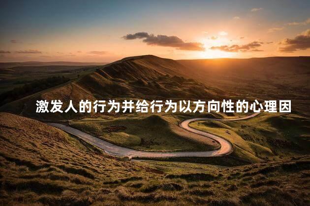激发人的行为并给行为以方向性的心理因素是什么