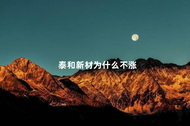 泰和新材为什么不涨