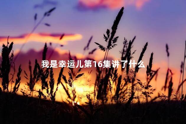 我是幸运儿第16集讲了什么