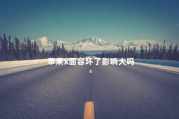 苹果x面容坏了影响大吗