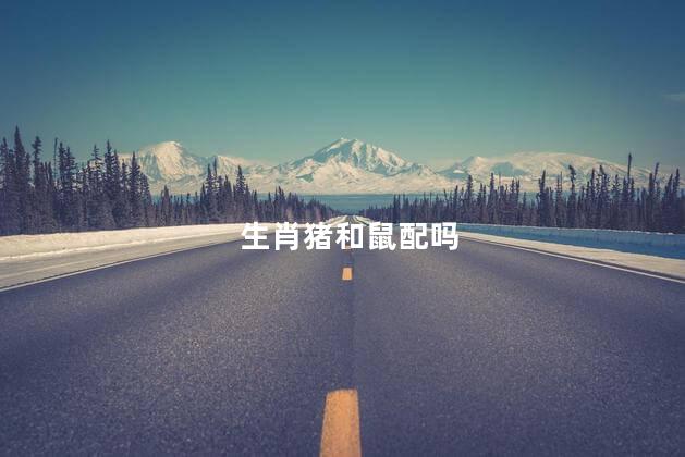 生肖猪和鼠配吗