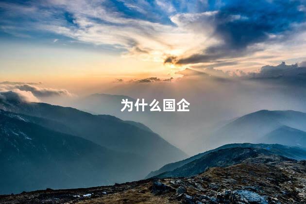 为什么国企