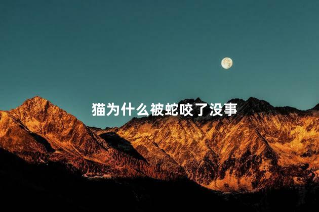 猫为什么被蛇咬了没事