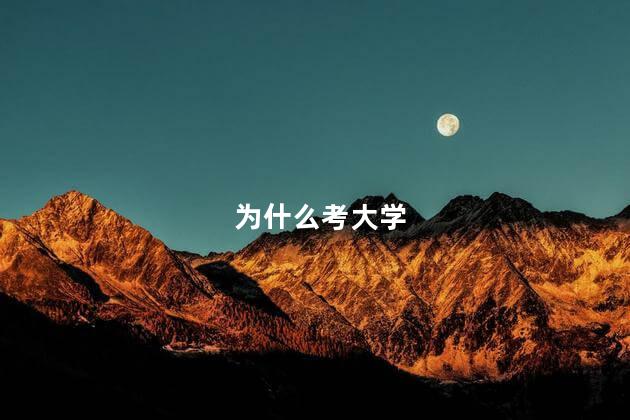 为什么考大学