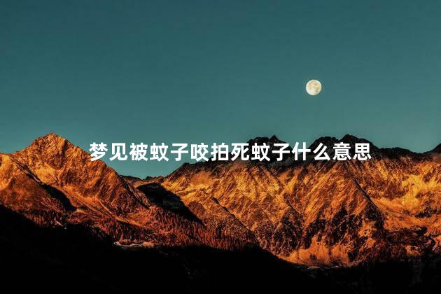 梦见被蚊子咬拍死蚊子什么意思