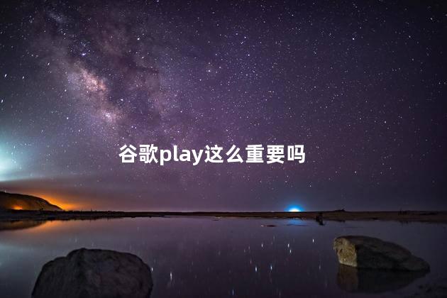 谷歌play这么重要吗