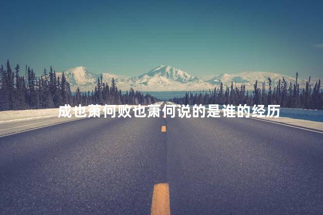 成也萧何败也萧何说的是谁的经历