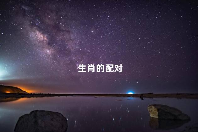 生肖的配对