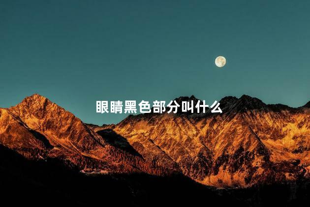 眼睛黑色部分叫什么
