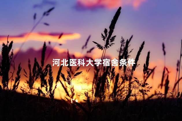 河北医科大学宿舍条件