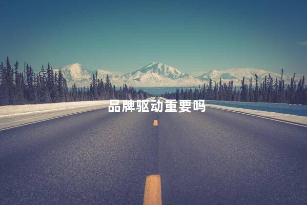品牌驱动重要吗