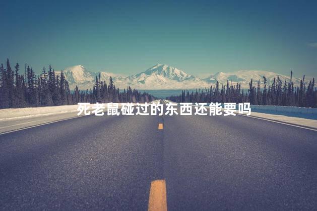 死老鼠碰过的东西还能要吗