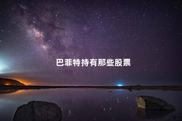 巴菲特持有那些股票