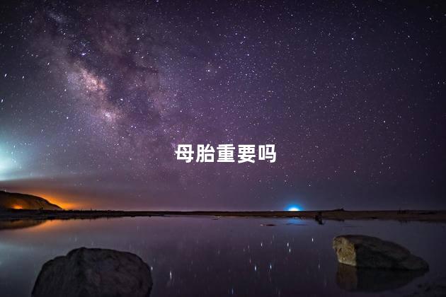 母胎重要吗