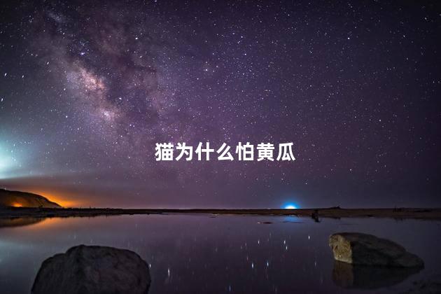 猫为什么怕黄瓜