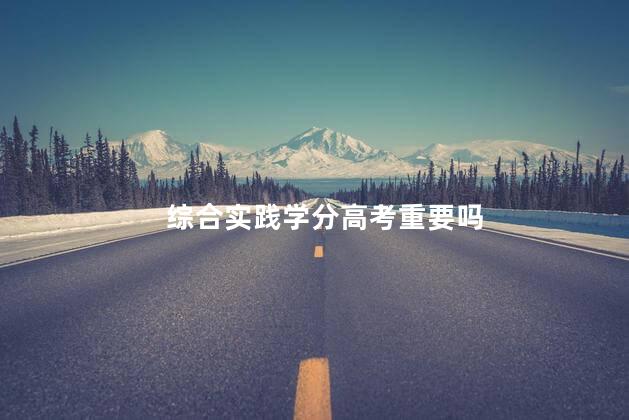 综合实践学分高考重要吗