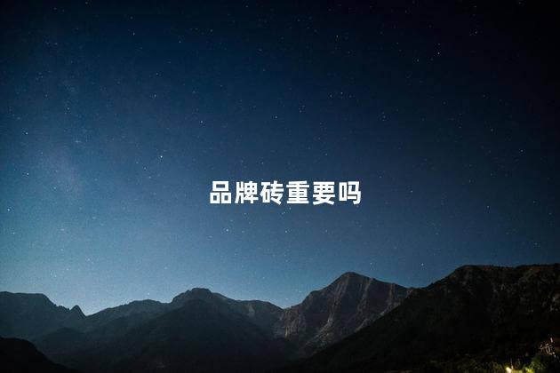 品牌砖重要吗