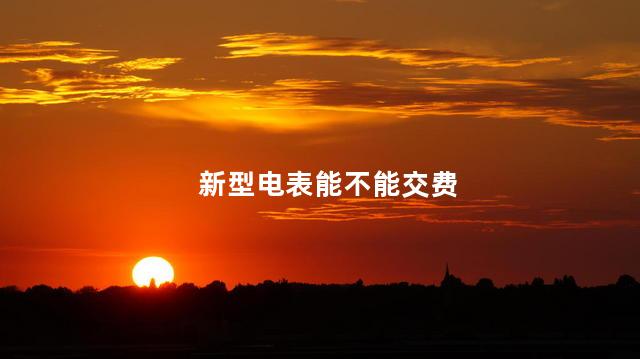 新型电表能不能交费