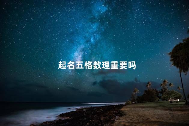 起名五格数理重要吗