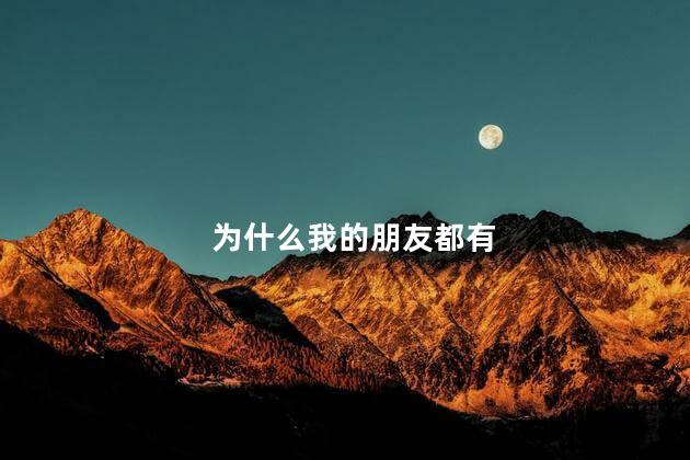 为什么我的朋友都有