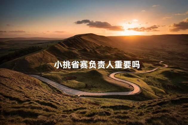 小挑省赛负责人重要吗