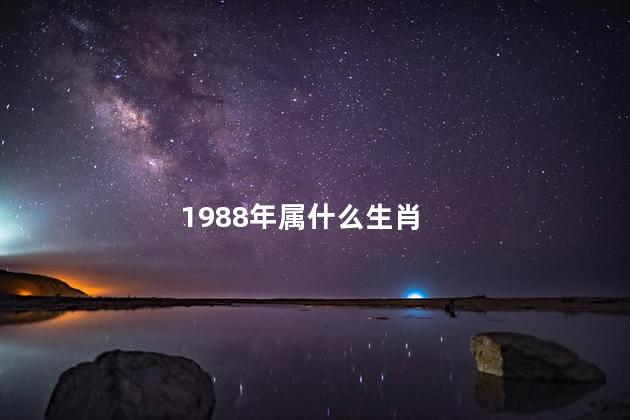 1988年属什么生肖