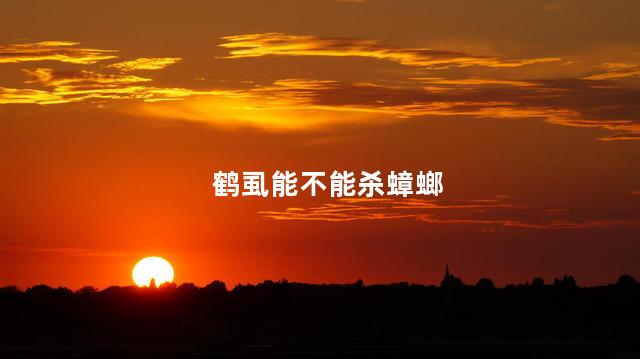 鹤虱能不能杀蟑螂