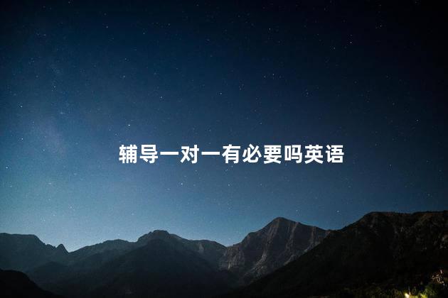 辅导一对一有必要吗英语