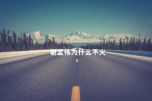 谢孟伟为什么不火