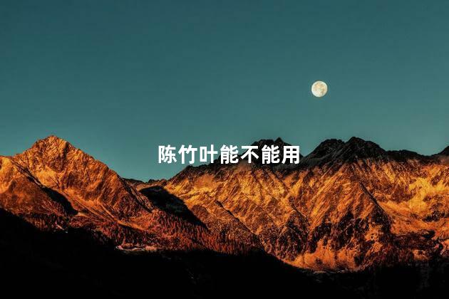 陈竹叶能不能用