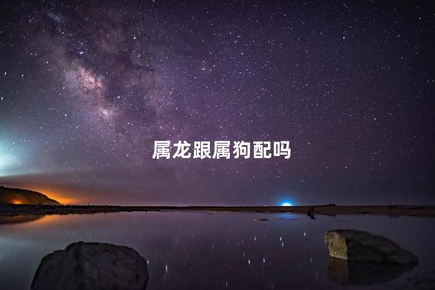 属龙跟属狗配吗