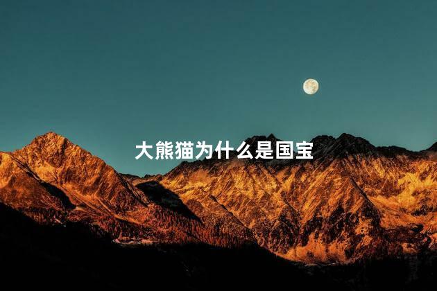 大熊猫为什么是国宝