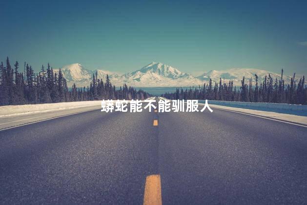 蟒蛇能不能驯服人