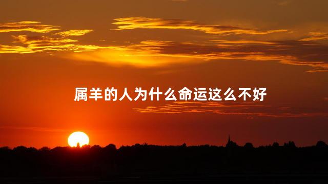 属羊的人为什么命运这么不好