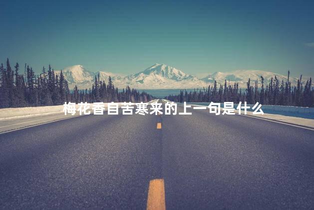 梅花香自苦寒来的上一句是什么