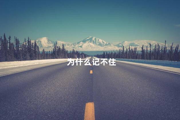 为什么记不住