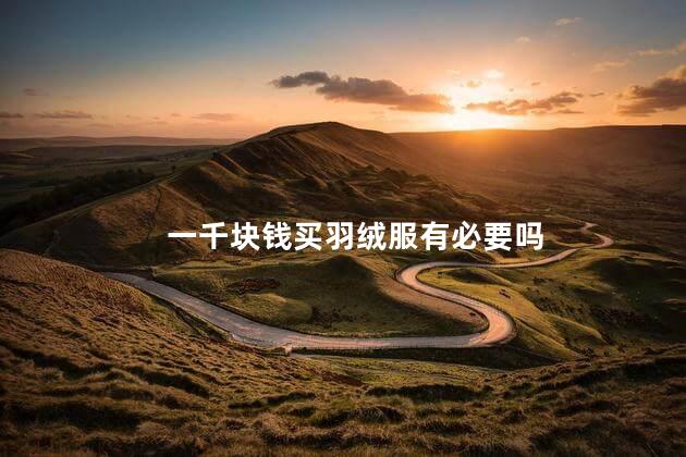 一千块钱买羽绒服有必要吗