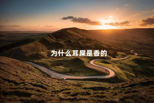 为什么耳屎是香的