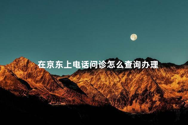 在京东上电话问诊怎么查询办理