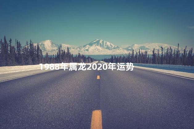 1988年属龙2020年运势