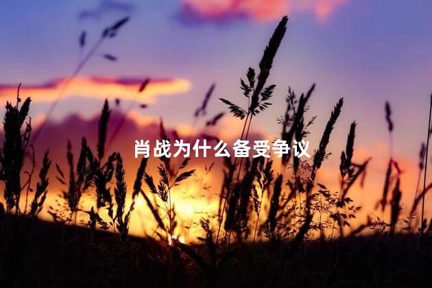 肖战为什么备受争议