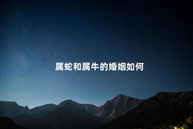 属蛇和属牛的婚姻如何