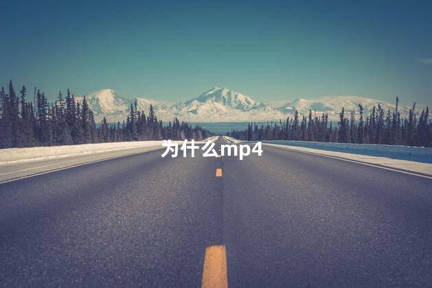 为什么mp4