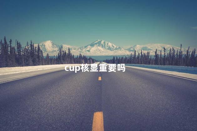 cup核显重要吗